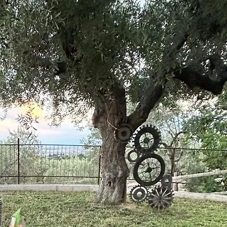 Barone Gambadoro Monte Sant'Angelo